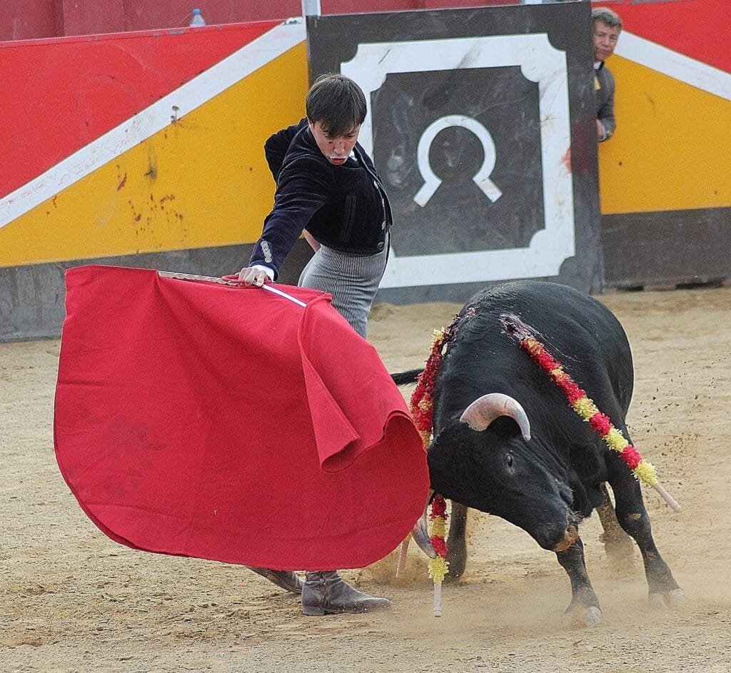 El rejoneador bilbilitano Mario Pérez Langa triunfa en Cariñena junto al novillero Fran Fernando 5 65C8E16F 65C3 4BA2 AF9B 4D399508D9A4