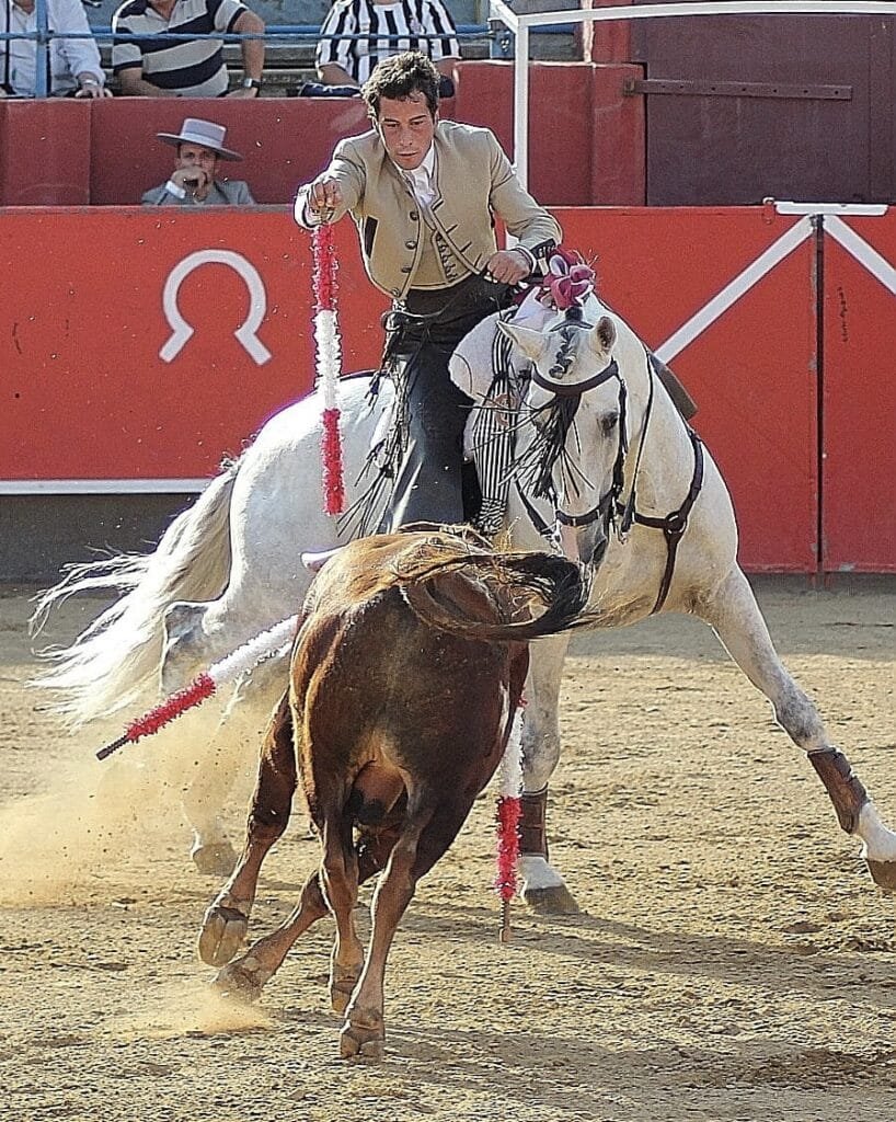 El rejoneador bilbilitano Mario Pérez Langa triunfa en Cariñena junto al novillero Fran Fernando 4 6BF0BEE6 C9C3 4BAA 80BD 7825796C9958