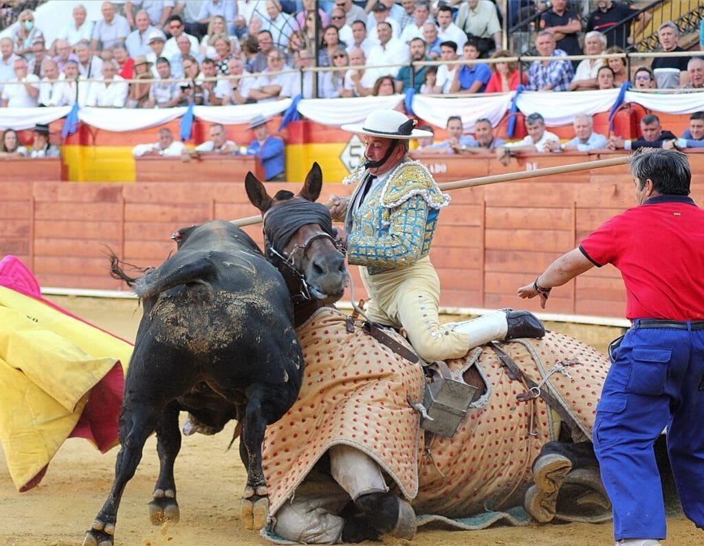Se indulta un toro por primera vez en la Plaza de Toros de Calatayud 6 94F7FEFD B6F9 4110 81DD E2FA135FFE9E