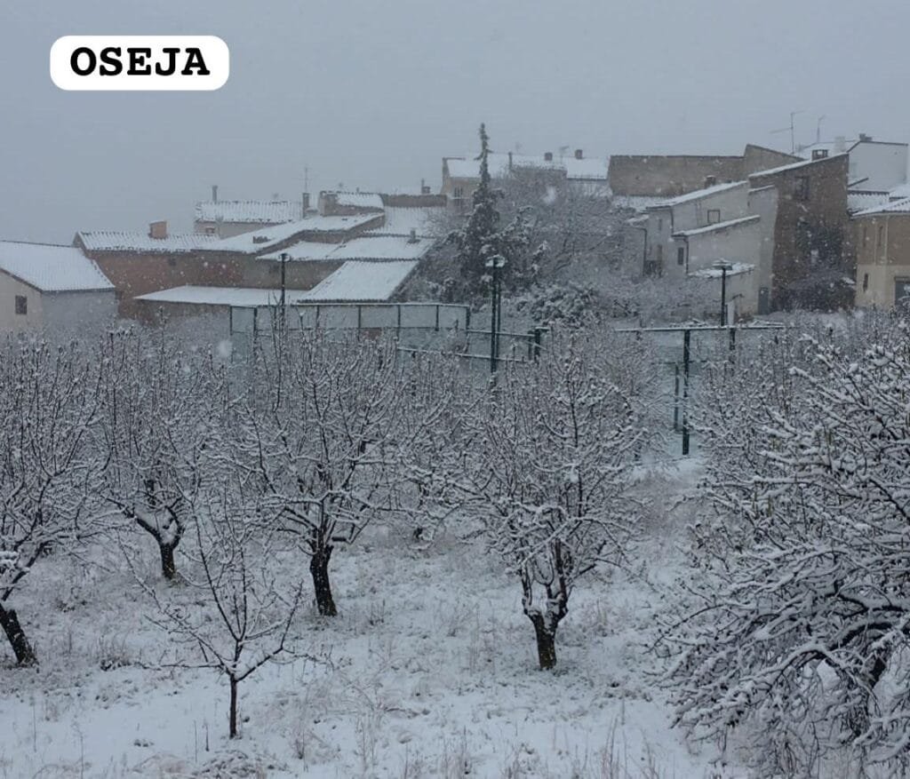 73cf2e86 ec70 4a7f af0e d36ca1eee581