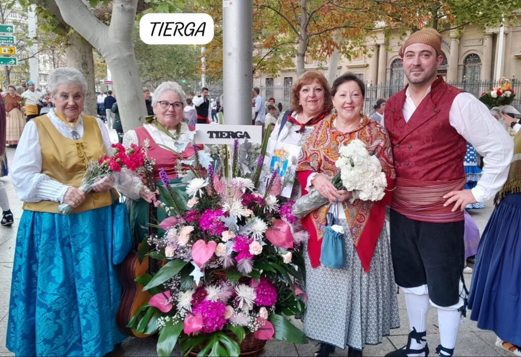 61ed1eeb 00df 4edd ad93 c6c2cfe6dc50