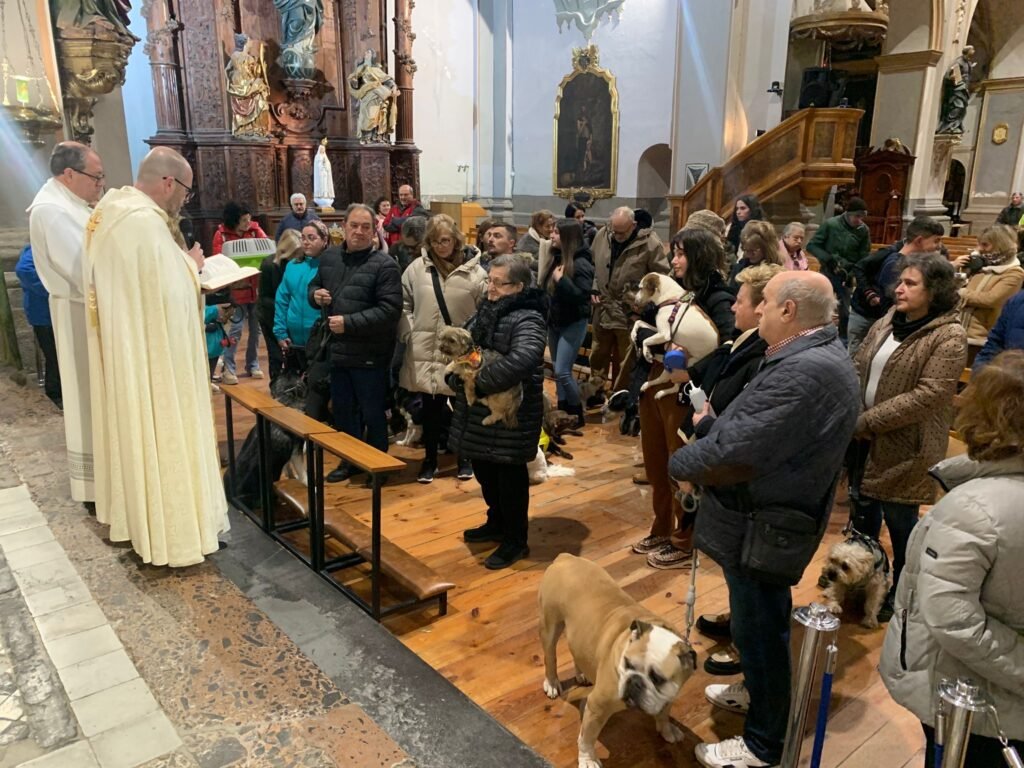 2ba51b99 d4af 4bff b2f1 786d7947212d