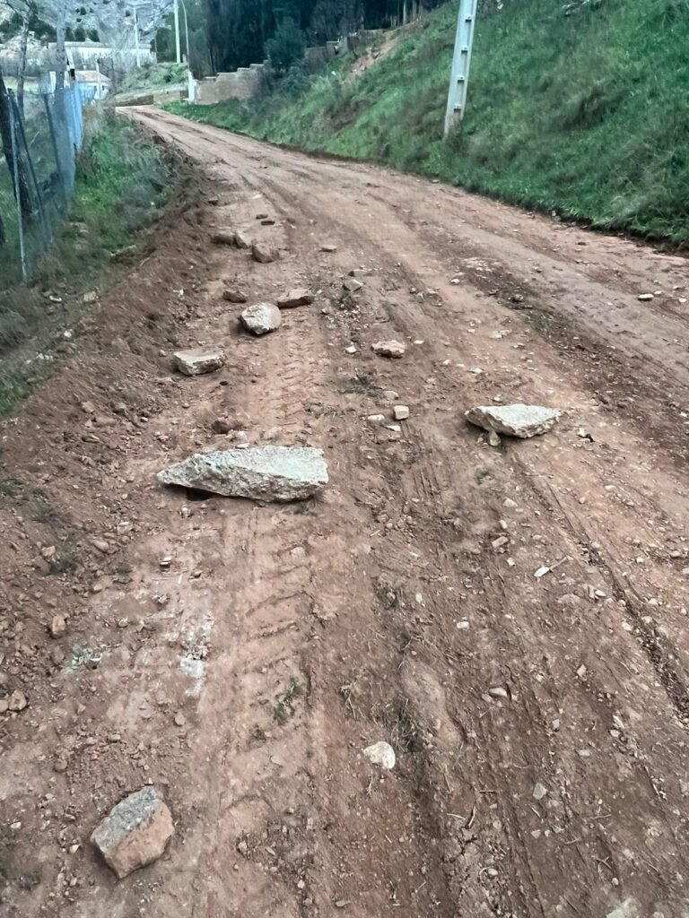 3cb0a0c8 4311 4656 a175 86af2a983696