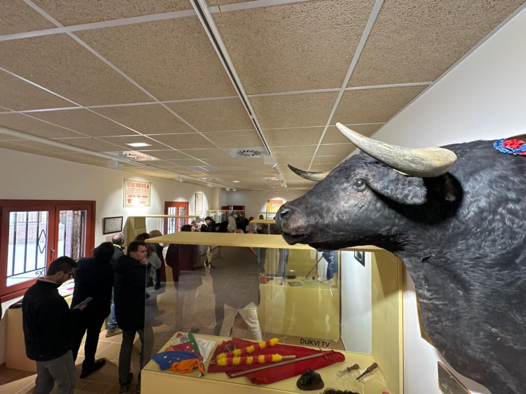 Una cuarentena de alumnos finalizan los talleres experienciales que han creado un museo taurino en la Plaza de Toros de Calatayud y una parcela de huertos urbanos 3 5a84b4f1 b441 4b2c 8021 cd335273add6