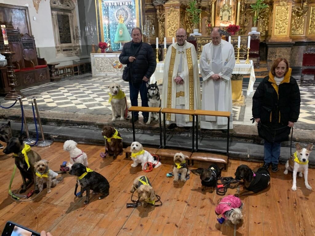 64fdd112 573a 4d0a 8a05 d5cfff9f2b2a