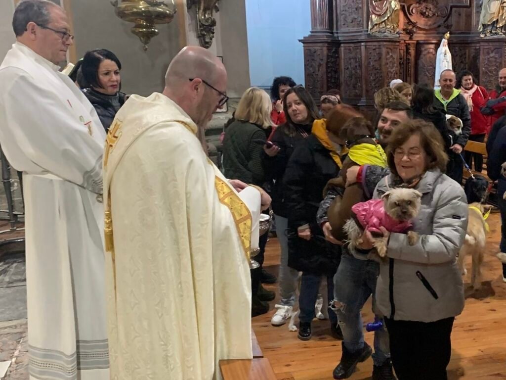 75894ae7 6825 4c82 b96b c3feacf801fd