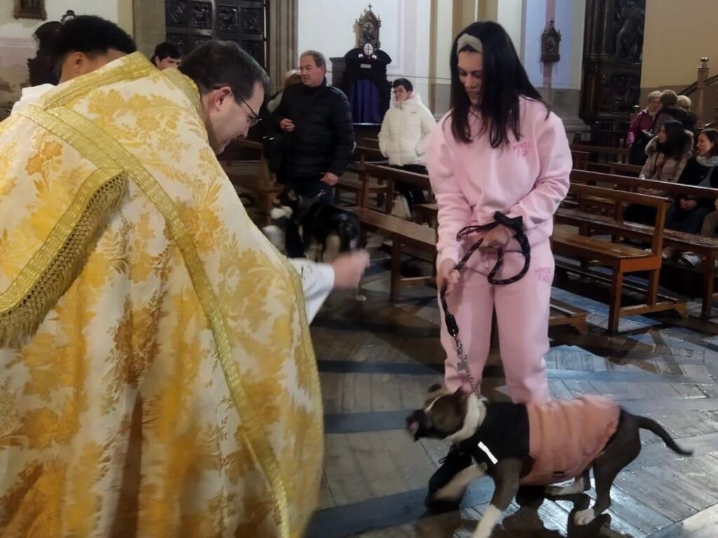 8d1ab1c7 abec 4347 9dd6 57b6ba9fd8fc