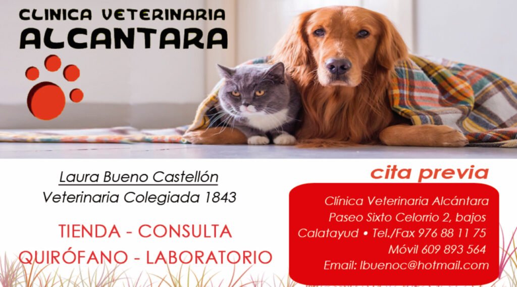 Calatayud, la belleza de su Rosario de Cristal y la singularidad de la Far West Race se promocionarán el próximo 25 de enero en FITUR 1 IMG 3998 3