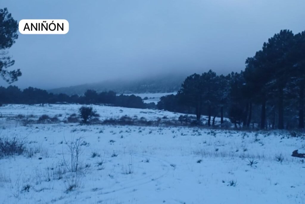 3a04a321 0d3e 409f 8481 a6045afe4bfd