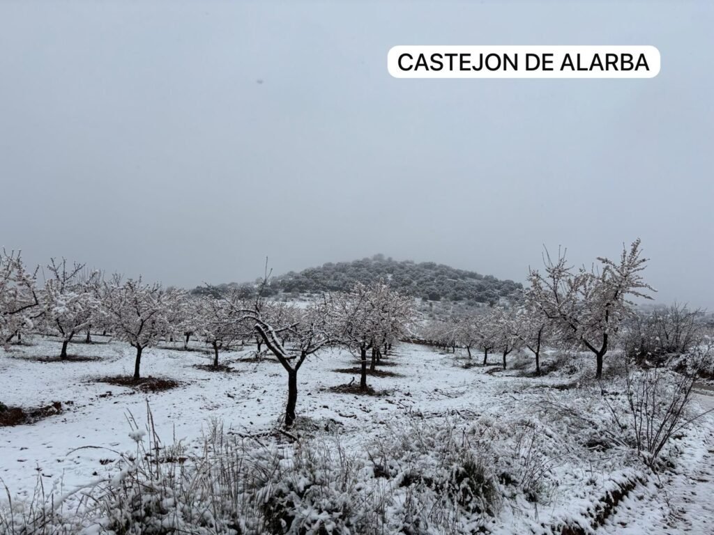 6078d092 803a 47b3 9b8c 466a3bab8aa6