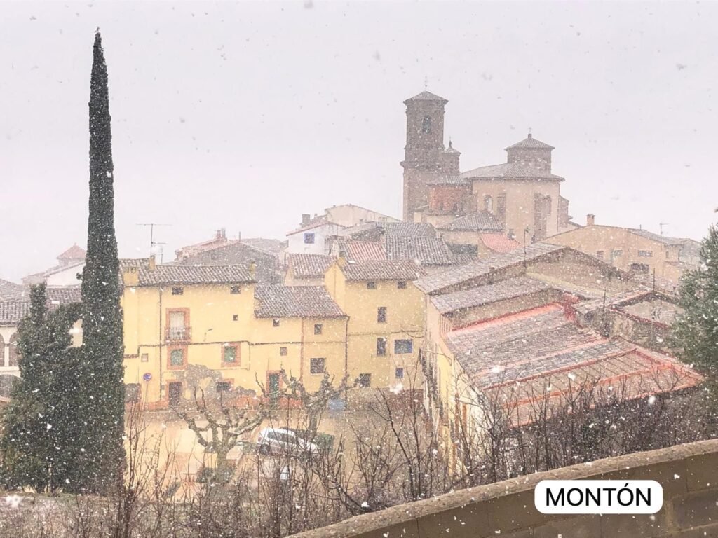 77934826 4718 4d7d 9b07 f9c14acae71a