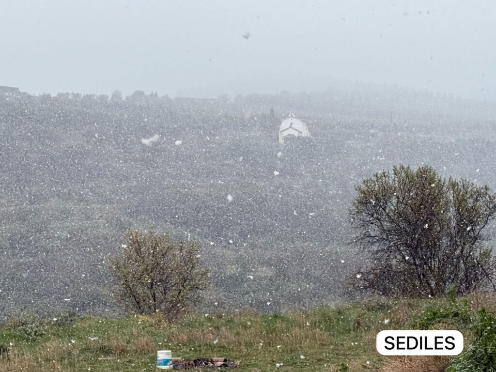 7bc3a59b 3d81 4854 8580 1b52597fe053