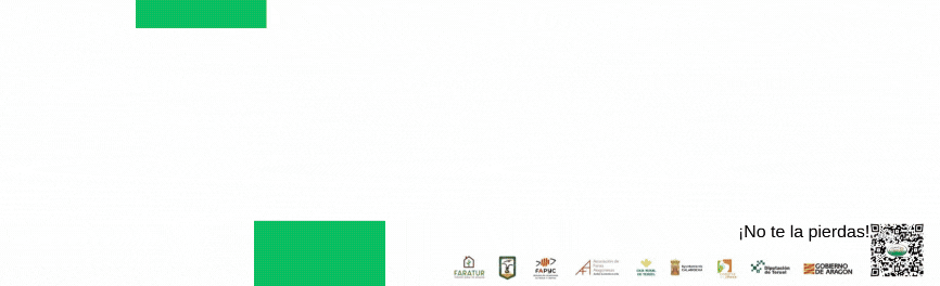 GIF FERIA CALAMOCHA 3