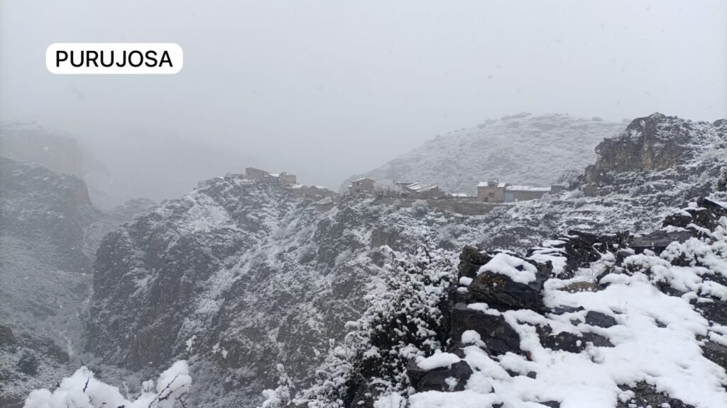 b11b94a4 87ca 4081 94c0 2f85fe902403