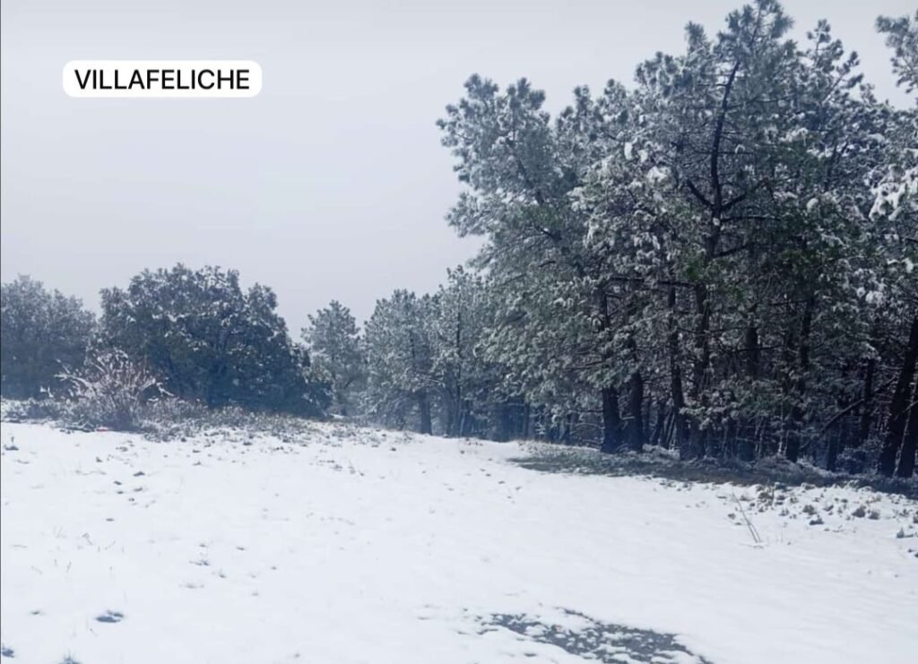 b801c389 9ae5 4ba0 879d c7072c0d22b4