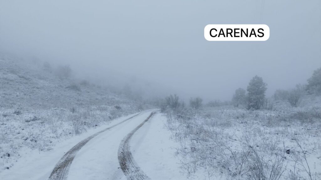 c5738afa 3328 41c0 8b64 c693f45c1d3f