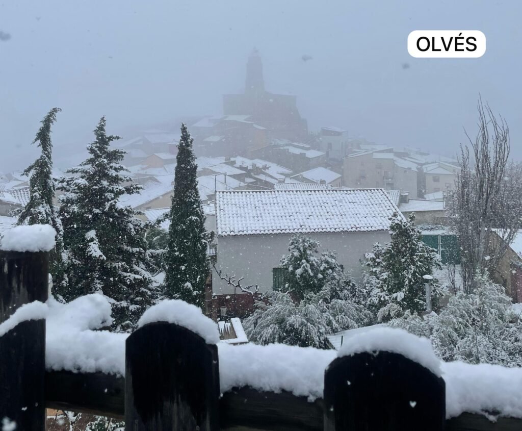 c5d1c81e 5a0b 4190 8756 995baa76dfa8