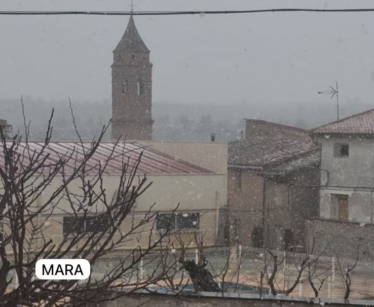 ccc26deb 4650 4961 8009 c008c2d026dd