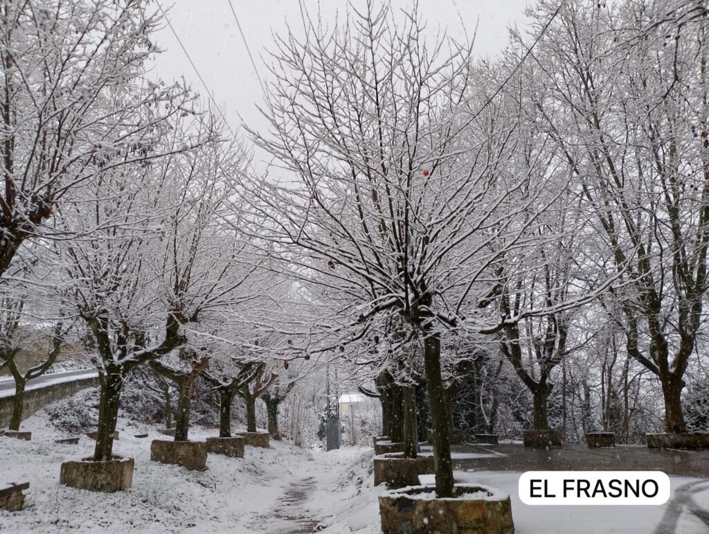 ffb2cca1 23db 4a09 a943 50b1fd79d7c2