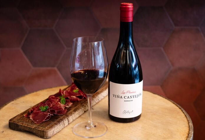 vina-castejon-vino-las-pizarras-raices-ibericas