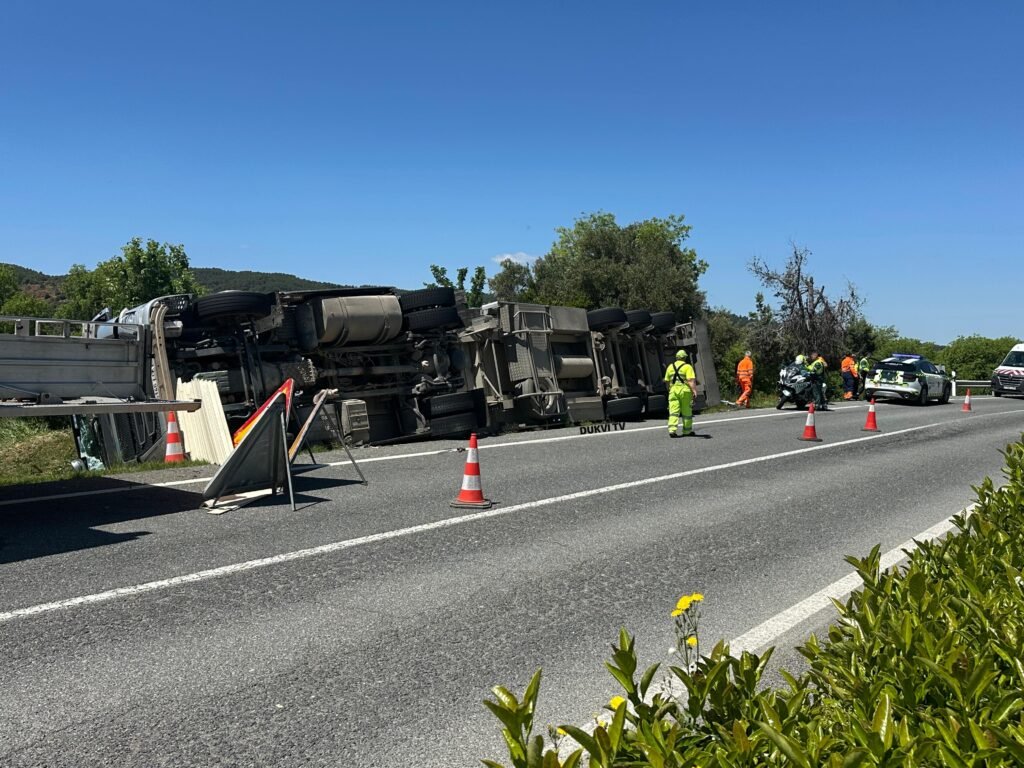 Un camión cargado con más de 1.000 cerdos se sale de la vía en la N-234 a la altura de Montón: no hay daños personales 2 38989b68 0947 42c8 8799 4a0c2b5cadb9