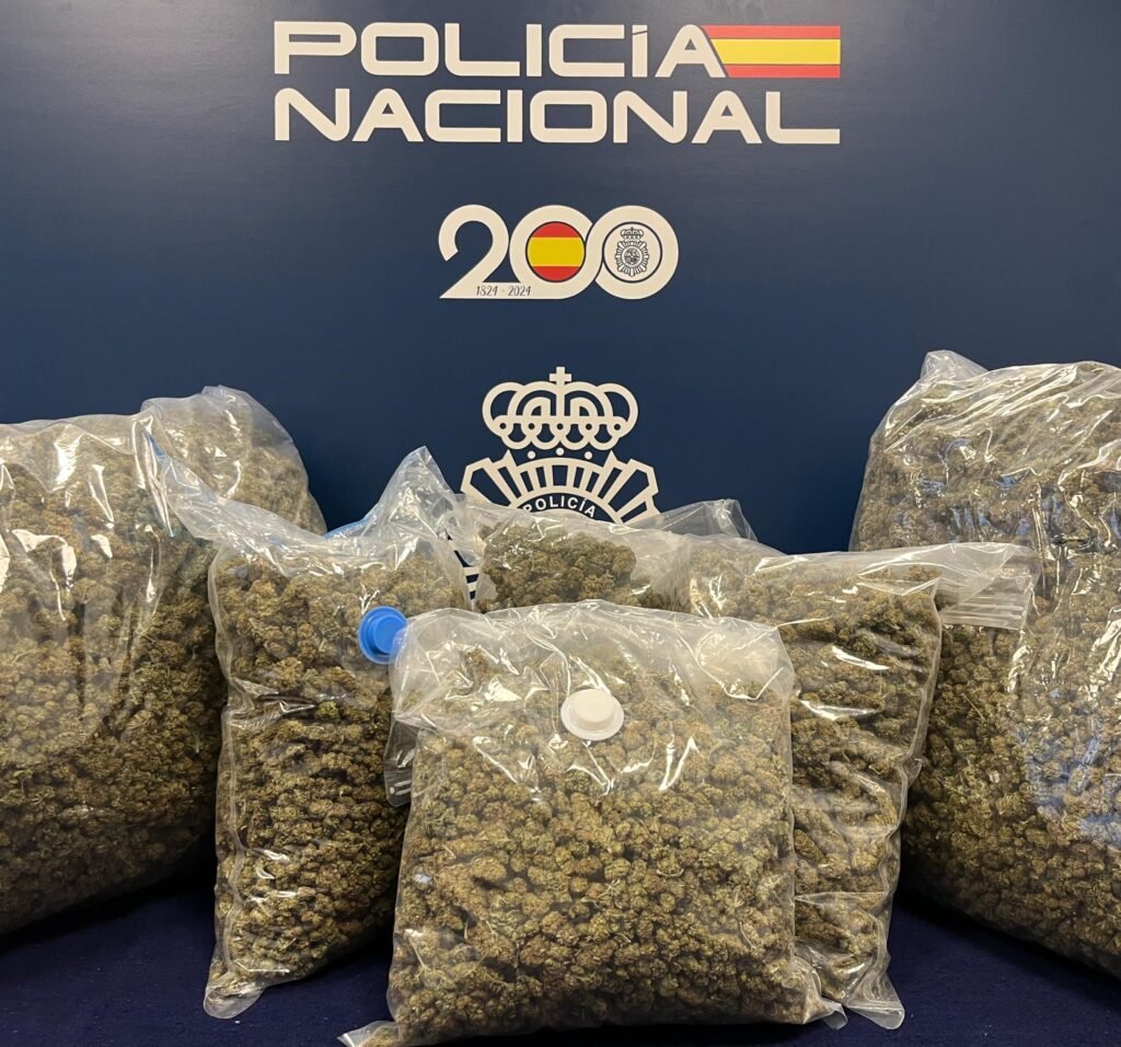 La Policía Nacional desmantela en Torrijo de la Cañada dos importantes plantaciones indoor de Marihuana y detiene a cinco miembros de una organización criminal albanesa 2 2feb8696 9e80 42ac 9d43 9de225243984