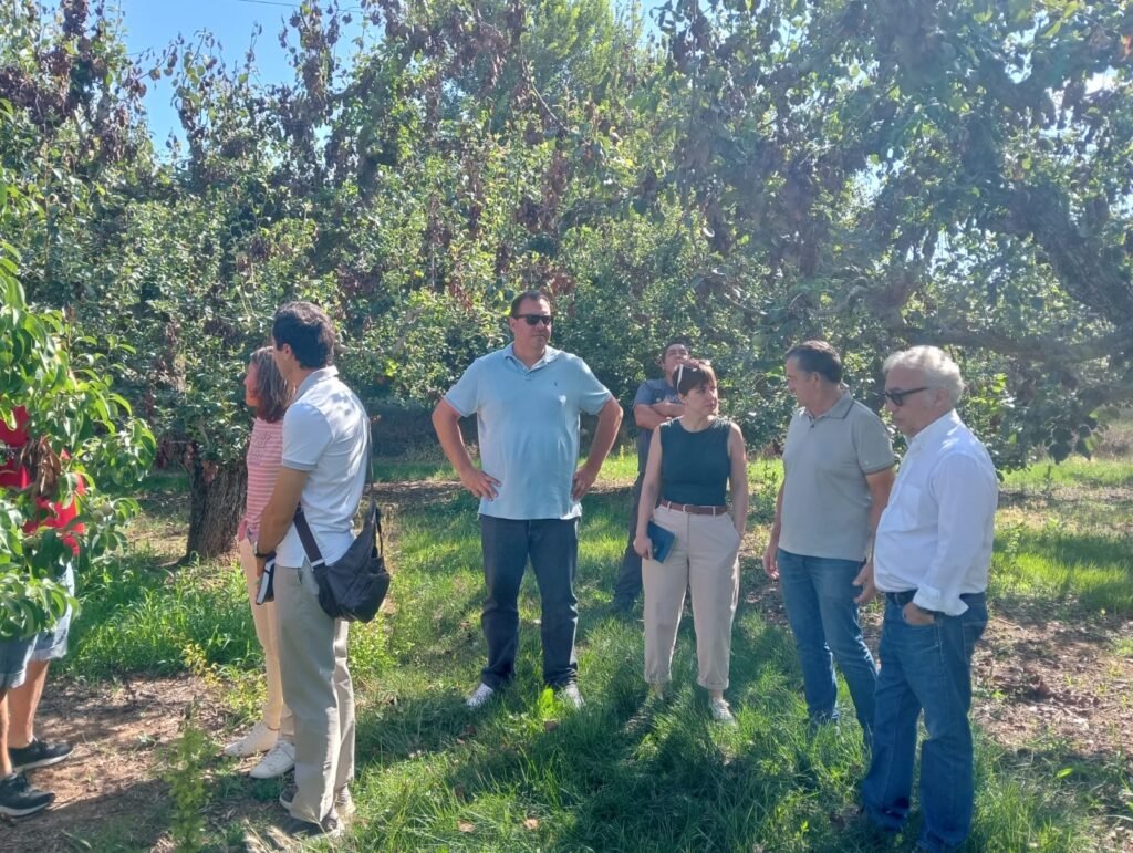 El departamento de Agricultura del Gobierno de Aragón presenta en Morata de Jiloca un plan de reconversión varietal para hacer frente al avance del fuego bacteriano 2 9bb30444 cdf3 47f6 847b bd20e9a7b4b0