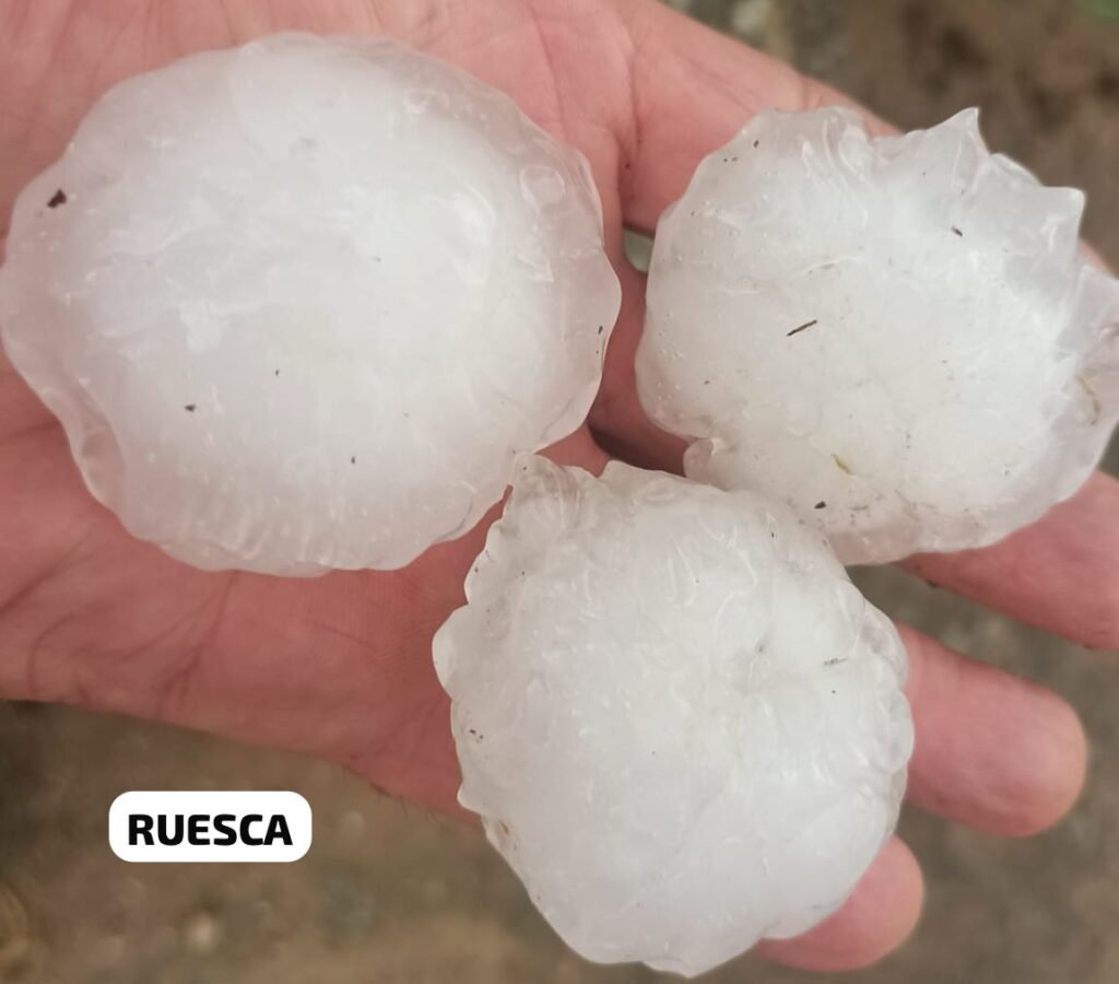 1bf140a7 5b03 40b3 8a1a f8e1f6505ff9