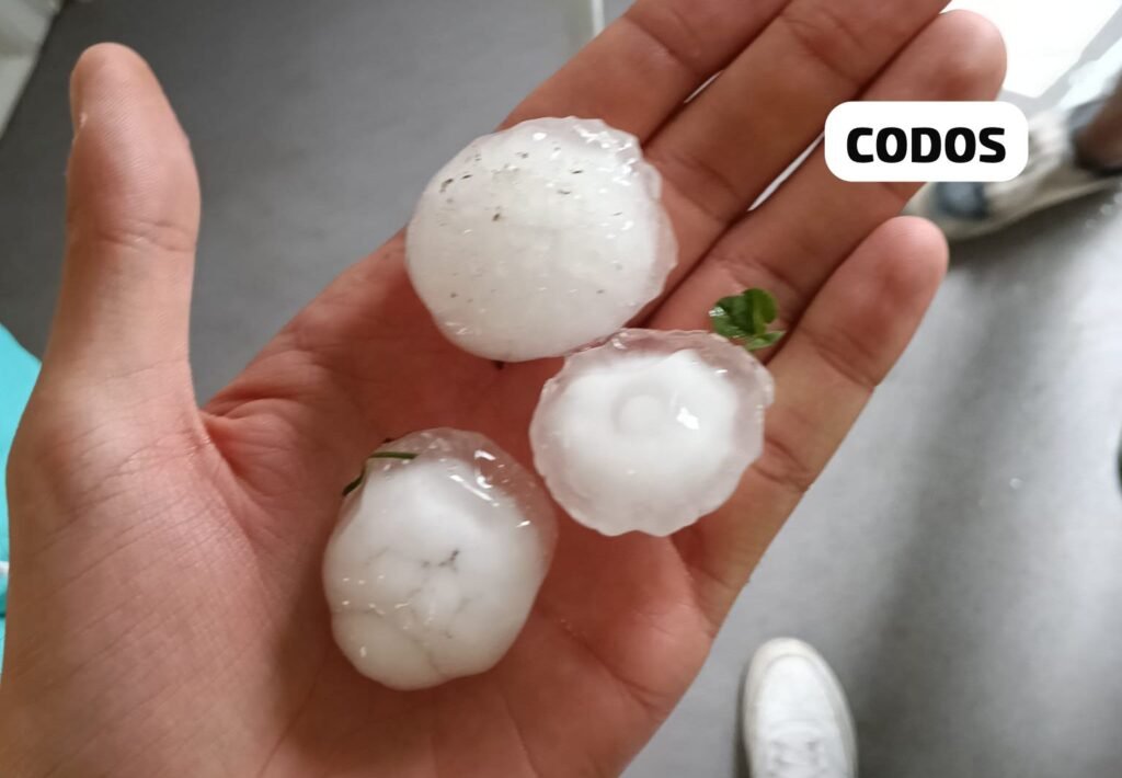 64d36a1f ebac 4b2b 9700 8f440e698911