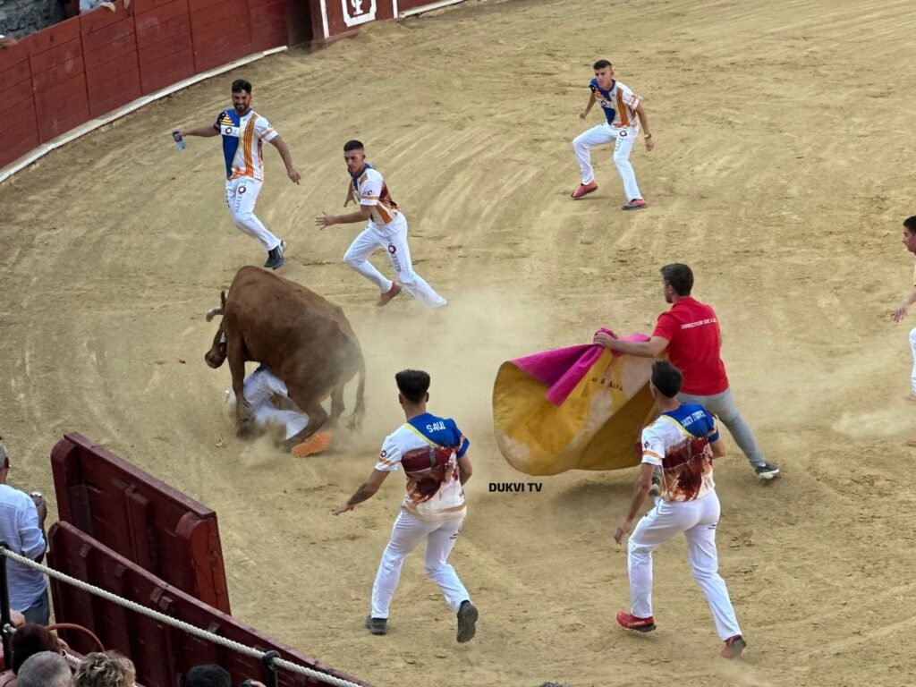 Primer festejo taurino de las Fiestas de San Roque de Calatayud: el navarro Roberto Constanza y el vasco Ander Lizarralde se llevan el Concurso Nacional de Recortadores 2 bc073689 871d 4d8e 8e71 35c0deb5da7e