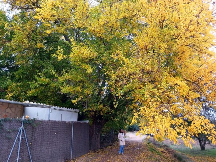 38d1b9e5-2b34-4687-945a-6053d1e64714