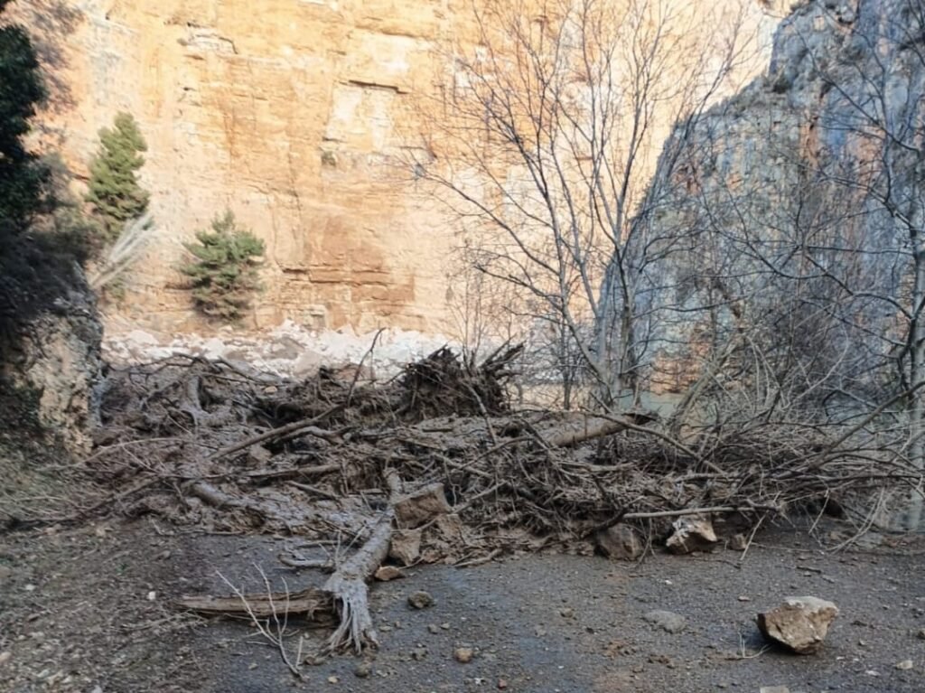 109ef330 7486 4b06 8e90 2432512899a5 1