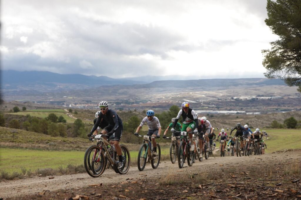 49d02c9e 39ba 451f b424 d473de946b48