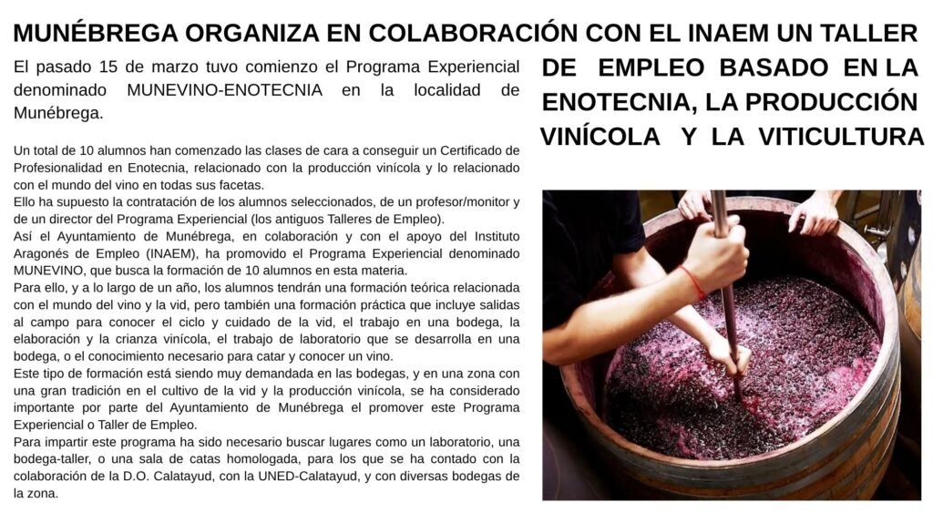 La Policía Local de Calatayud interpone 59 denuncias de tráfico durante la pasada Semana Santa: tres accidentes y dos positivos por alcoholemia al volante 1 IMG 8346