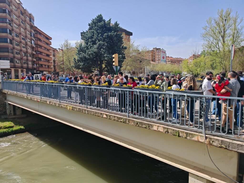 El pueblo gitano en Calatayud conmemora su día con la lectura de un manifiesto y el lanzamiento de claveles al río Jalón 3 c060584d d09f 48e7 9509 31f5e9ebad22