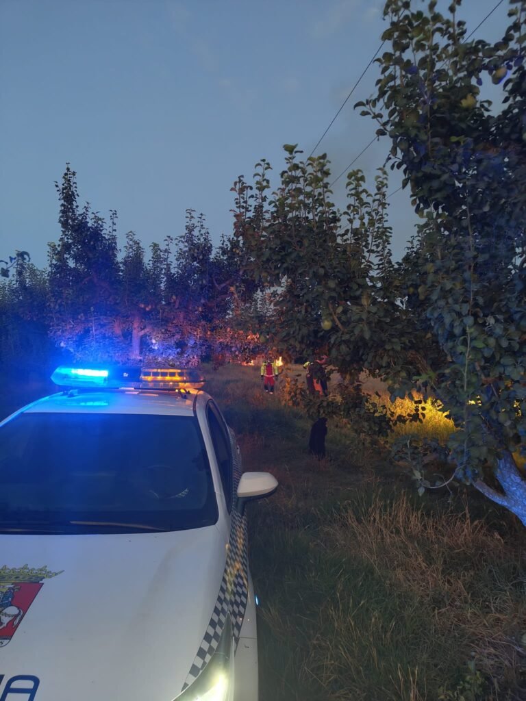 Los Bomberos sofocan un conato de incendio en una torre de alta tensión en Calatayud 2 e39e4fff 43de 4a30 abb0 6dff00dbf460